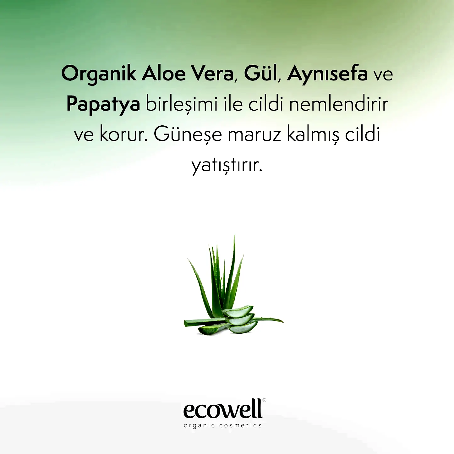 Sertifikalı Organik Aloe Vera Jel - 200 ml